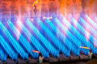 Raddon gas fired boilers